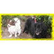 Barbara Frantz's photo