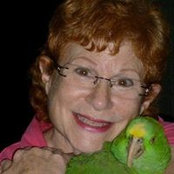 Foto von Carol Iskowitz