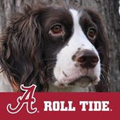 Mark Lutz's photo