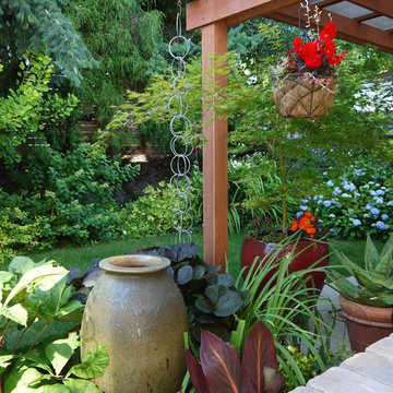 View Ridge Mid-century Update