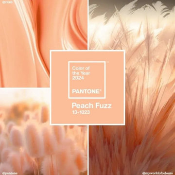 Color Trends