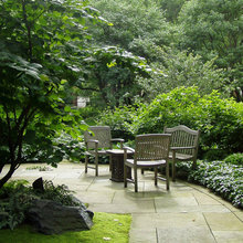 Your Yard: Are You Ready to Lose the Lawn?