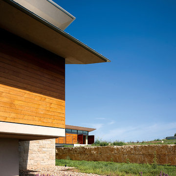 A Glass House in the Hill Country