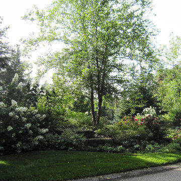 Entry Plantings