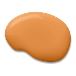 Sherwin-Williams orange paint color &ndash; Tango (SW 6649) - Paint