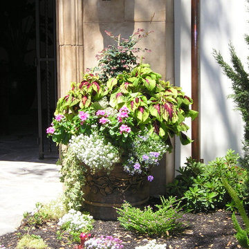 Country plantings in a pot at Twelve Bridges