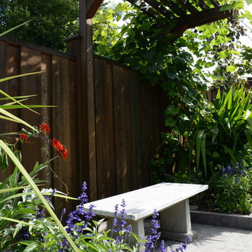 Raised Vegetable Bed / Ornamental Garden 2016
