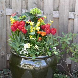 Spring Rotations - Plants