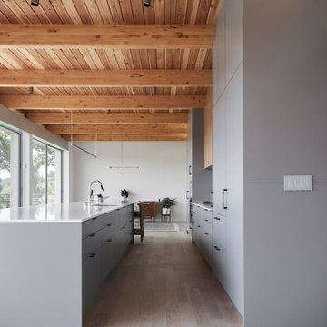 Mid-Century “Treehouse” Kitchen