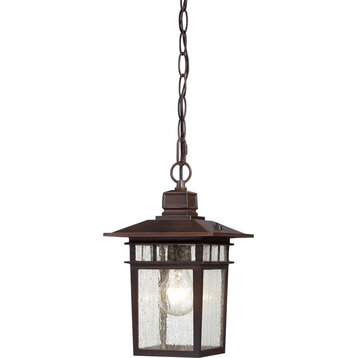 Nuvo Cove Neck 1-Light 12" Outdoor Hang With Clear Glass, Rustic Bronze, 60-4955