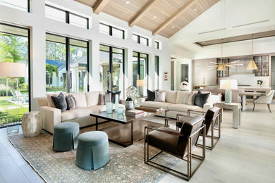 Living room - transitional living room idea in Other