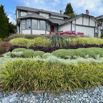 Front yard planting with unique character