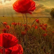 Cathy Craddock's photo