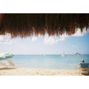 Dan Harris's photo