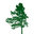 Pinevest Homes