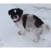 Jenny Kadlec's photo