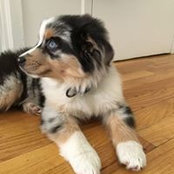 Jan Moyer's photo