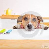 Deedee Schuts foto