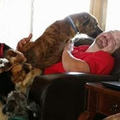 Daniel Webster's photo