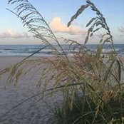 Colleen Prater's photo