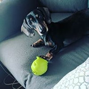 Danielle Puedecruzar's photo