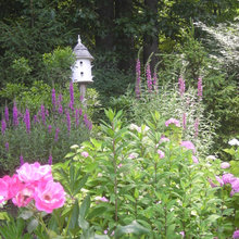 Bird Houzz