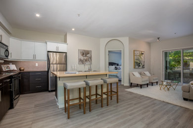 Kitchen - transitional kitchen idea in Other