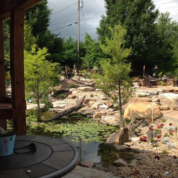 Backyard Oasis
