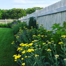White Fence