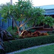 katrina_brown58's Ideas