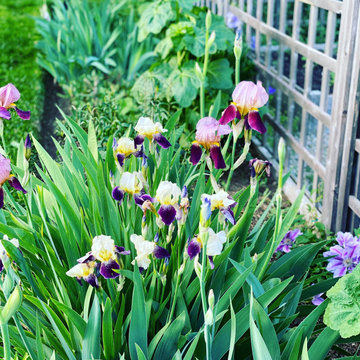Garden Design