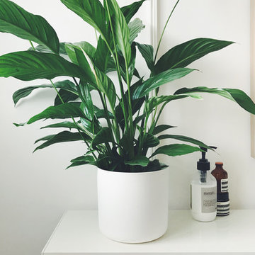 Bedroom shelving syytems