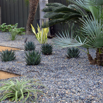 Ocean Beach Craftsman Landscape