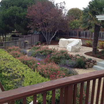 Landscape Design & Build