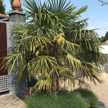 mediterraner Garten in Thüringen