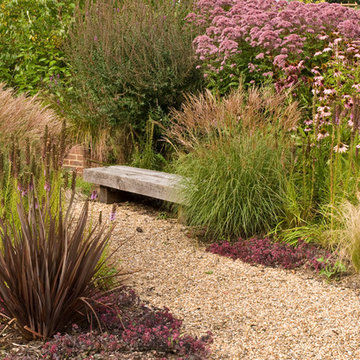 Willows and Water, Surrey