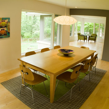 Architect's Mid-Century Renovation
