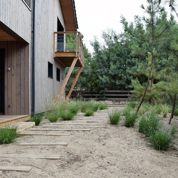 Le chemin dans les dunes, à travers les graminées