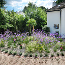 Patio Space