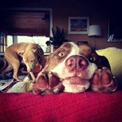 Kat Jutto's photo