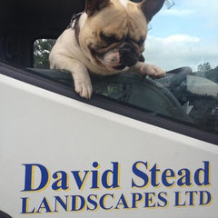 David Stead Landscapes Ltd