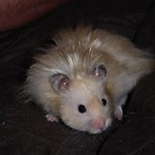Cynthia Porta's photo