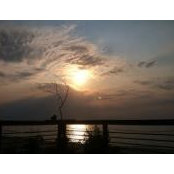 Nancy Sanden's photo