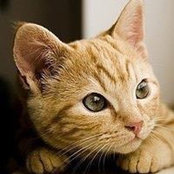 Peggy Kuo's photo