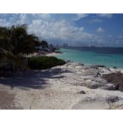 Pam Klar's photo