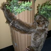 Lise Beutel's photo