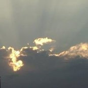 Melissa Rees's photo