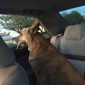 Ashlyn Lyles's photo