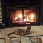 Stephanie Schaefer's photo