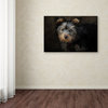 Jai Johnson 'Yorkie Puppy' Canvas Art, 47 x 30